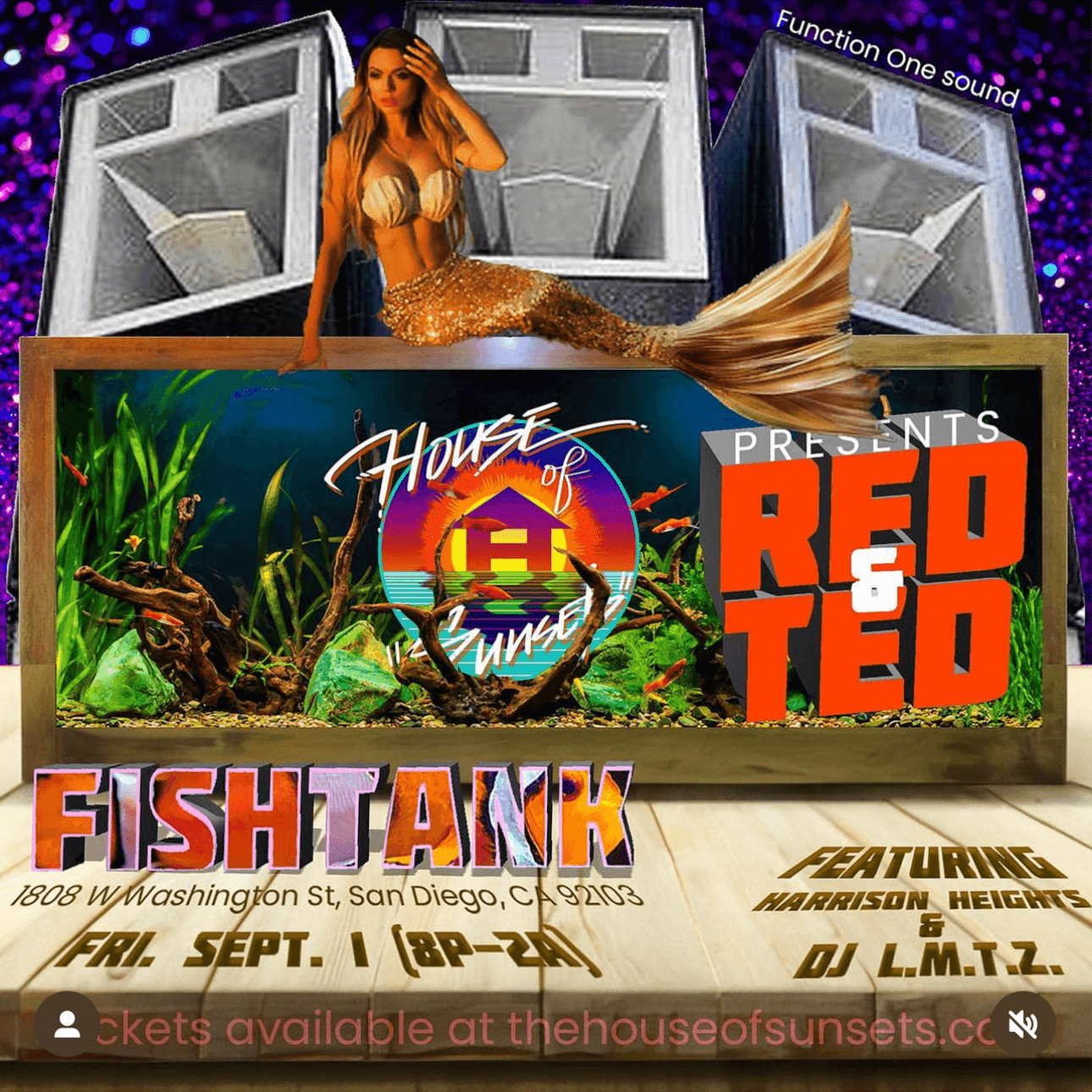 Fish Tank with Red Ted at Harrison Heights